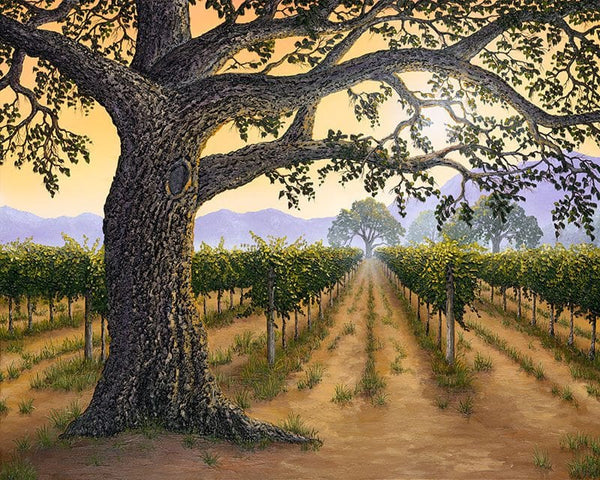 A Hint of Oak - Napa Valley Legacy painting by Patrick O'Rourke