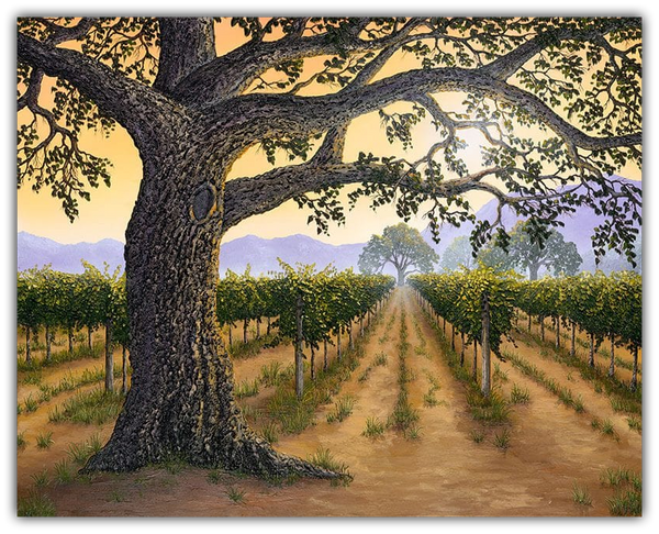 A Hint of Oak - Napa Valley Legacy painting by Patrick O'Rourke