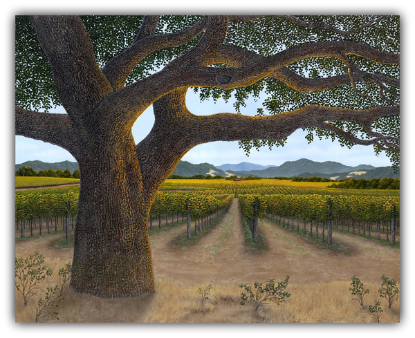 Autumn Oak painting of an oak tree in a Napa Valley vineyard by Patrick O'Rourke