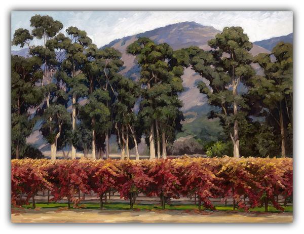 Eucalyptus Row by Susan Hoehn