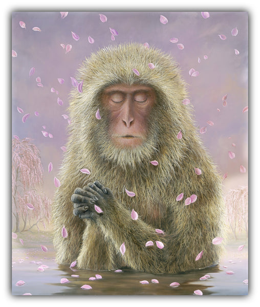 The Prayer by Robert Bissell features a monkey in focused prayer falling cherry blossoms.