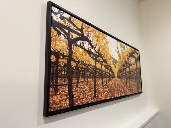 Dennis Hogan Under the Canopy in Black Float Frame