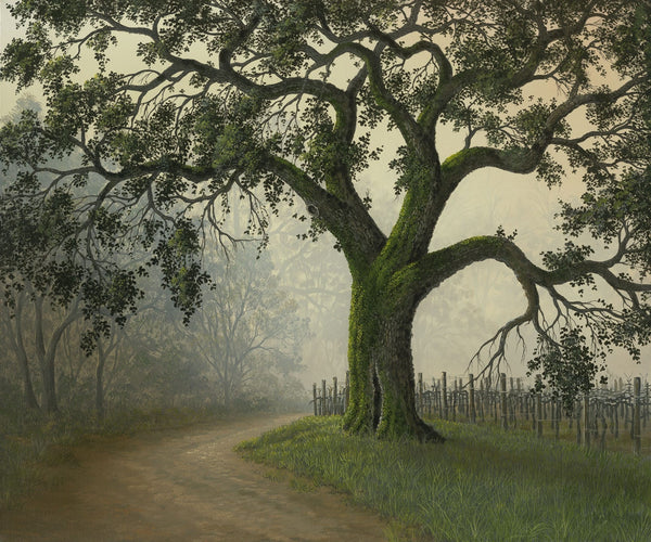 Winter Oak - Limited Edition by Patrick O'Rourke