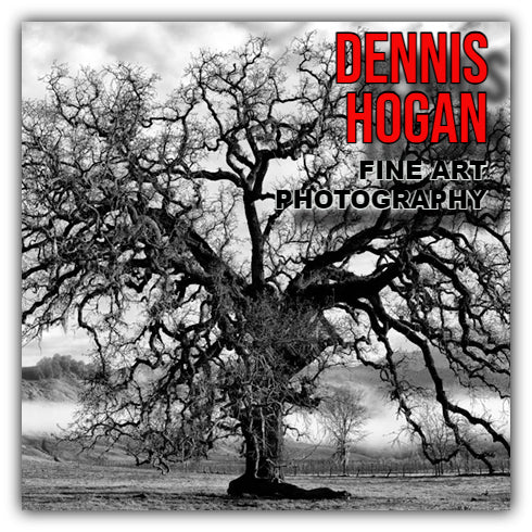 Dennis Hogan Fine Art Photography